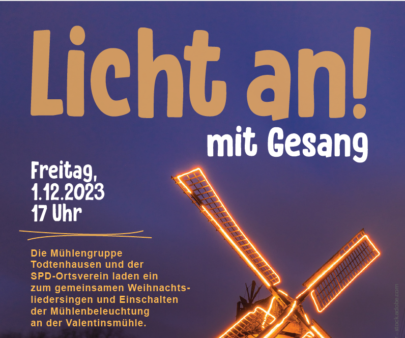 Licht an mit Gesang screenshot